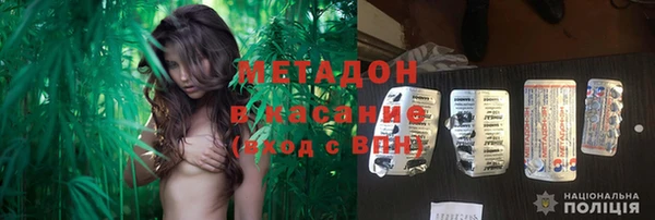 прущие грибы Медногорск
