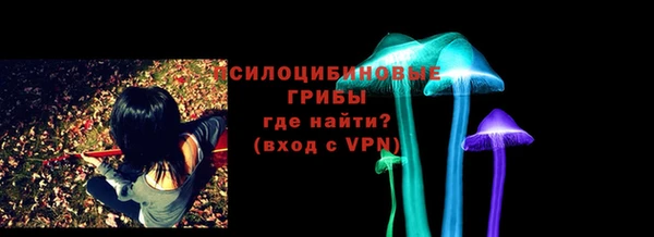 ешки Переславль-Залесский