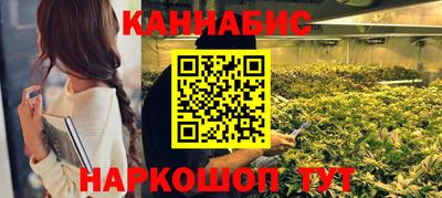 сатива Комсомольск-на-Амуре