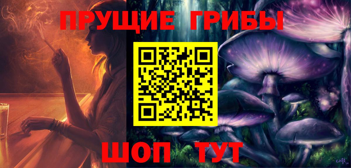 Псилоцибиновые грибы Magic Shrooms  Псилоцибиновые грибы GOLDEN TEACHER  где купить наркоту  Саянск  Вход с VPN 